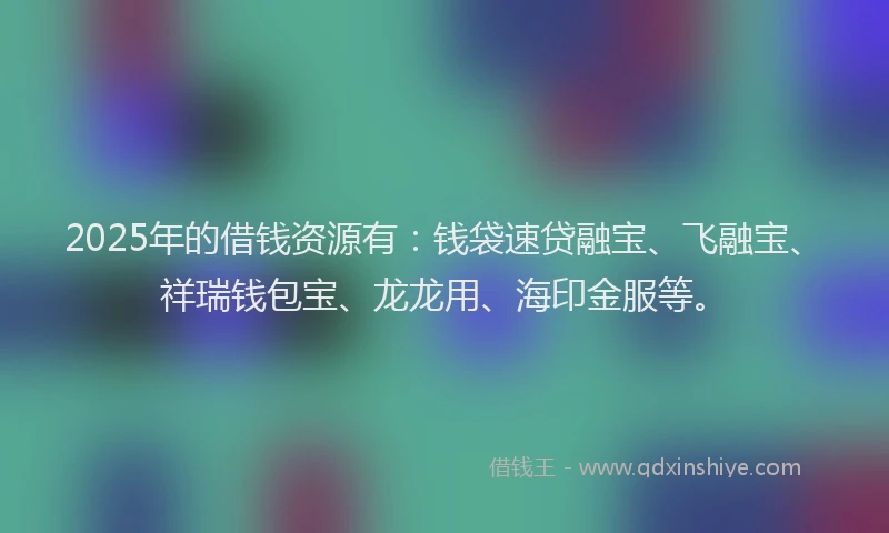 2025年的借钱资源有：钱袋速贷融宝、飞融宝、祥瑞钱包宝、龙龙用、海印金服等。