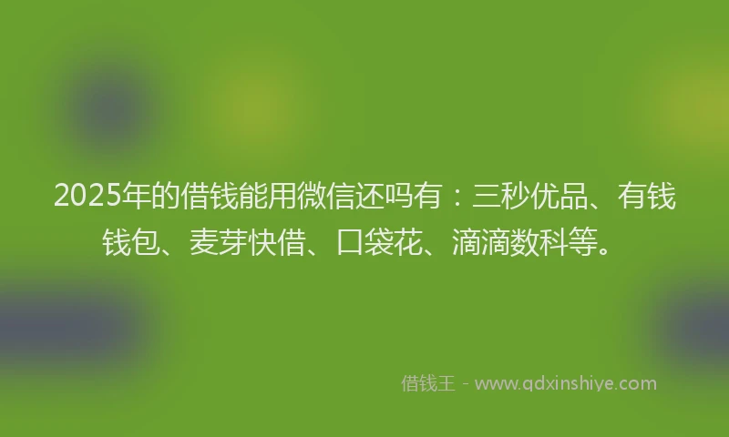 2025年的借钱能用微信还吗有：三秒优品、有钱钱包、麦芽快借、口袋花、滴滴数科等。
