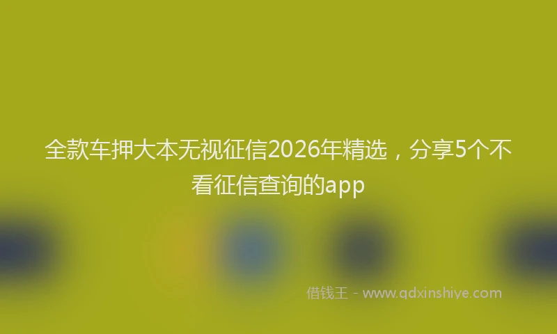 全款车押大本无视征信2026年精选，分享5个不看征信查询的app