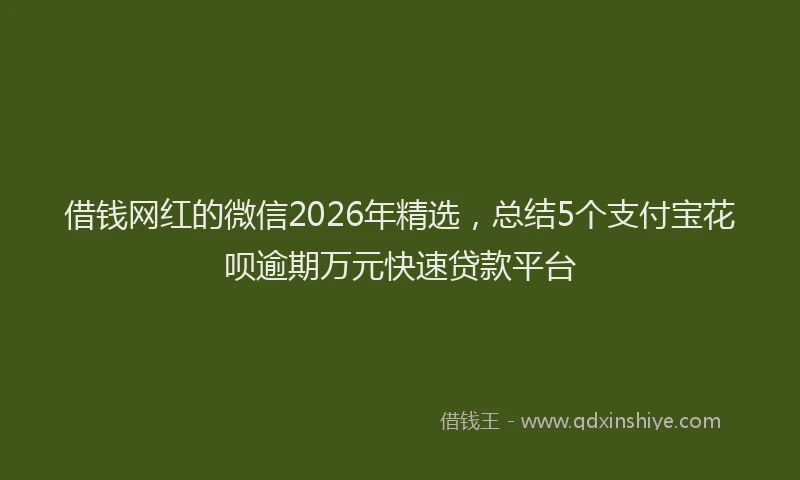 借钱网红的微信2026年精选，总结5个支付宝花呗逾期万元快速贷款平台