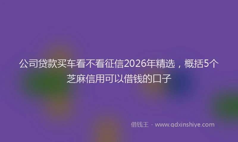 公司贷款买车看不看征信2026年精选，概括5个芝麻信用可以借钱的口子