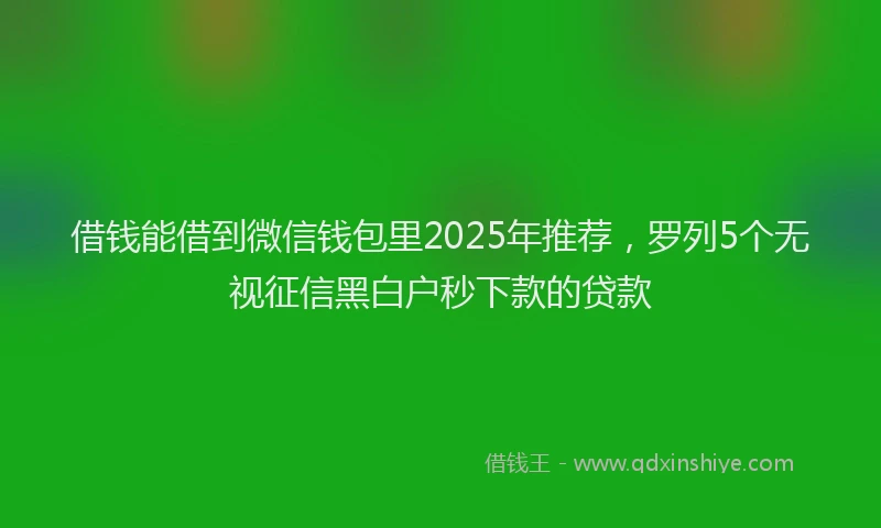 借钱能借到微信钱包里2025年推荐，罗列5个无视征信黑白户秒下款的贷款