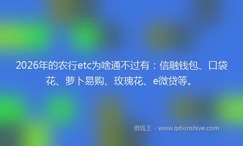 2026年的农行etc为啥通不过有：信融钱包、口袋花、萝卜易购、玫瑰花、e微贷等。
