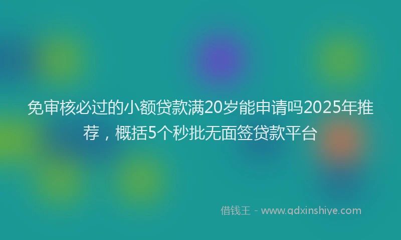 免审核必过的小额贷款满20岁能申请吗2025年推荐,概括5个秒批无面签贷款平台