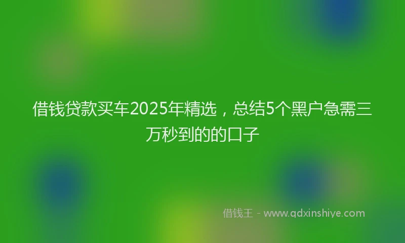 借钱贷款买车2025年精选，总结5个黑户急需三万秒到的的口子
