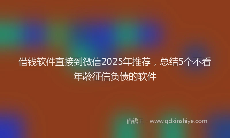 借钱软件直接到微信2025年推荐，总结5个不看年龄征信负债的软件