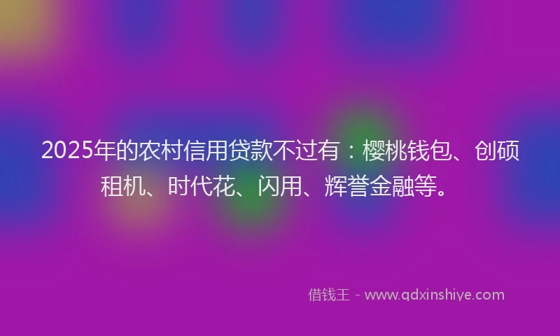 2025年的农村信用贷款不过有:樱桃钱包、创硕租机、时代花、闪用、辉誉金融等。