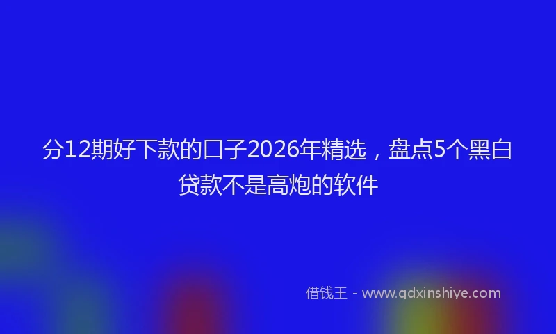 分12期好下款的口子2026年精选，盘点5个黑白贷款不是高炮的软件