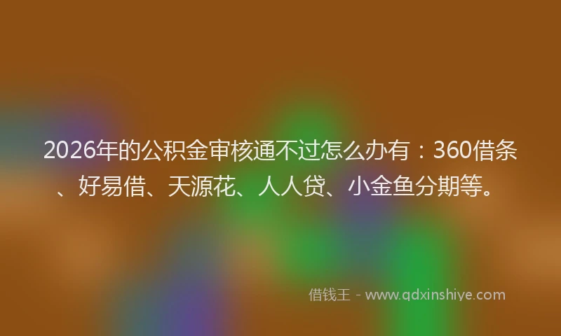 2026年的公积金审核通不过怎么办有：360借条、好易借、天源花、人人贷、小金鱼分期等。