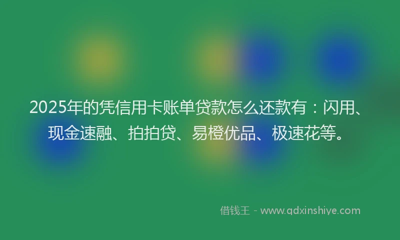 2025年的凭信用卡账单贷款怎么还款有：闪用、现金速融、拍拍贷、易橙优品、极速花等。