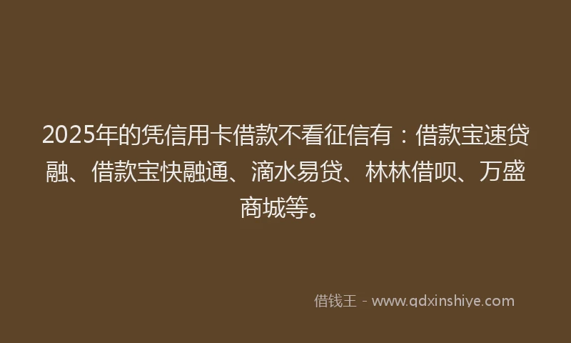 2025年的凭信用卡借款不看征信有:借款宝速贷融、借款宝快融通、滴水易贷、林林借呗、万盛商城等。