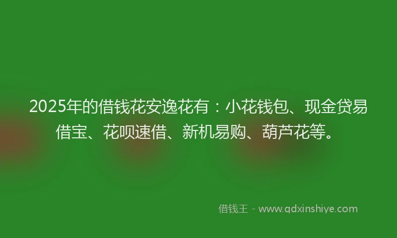 2025年的借钱花安逸花有：小花钱包、现金贷易借宝、花呗速借、新机易购、葫芦花等。