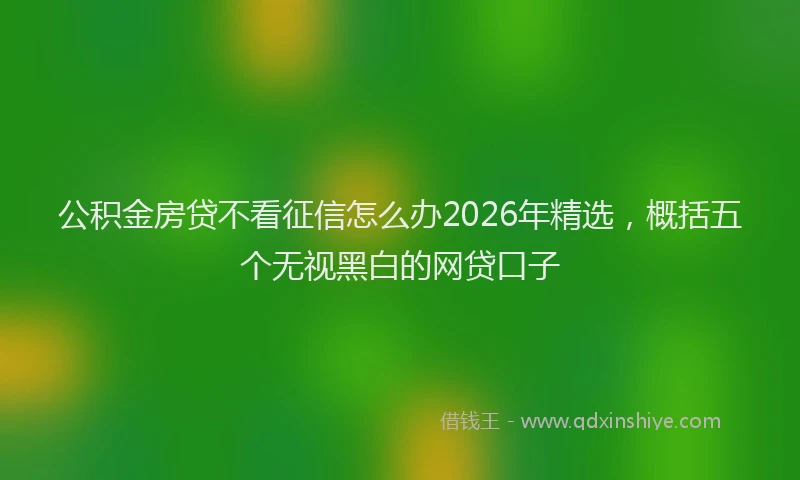 公积金房贷不看征信怎么办2026年精选，概括五个无视黑白的网贷口子