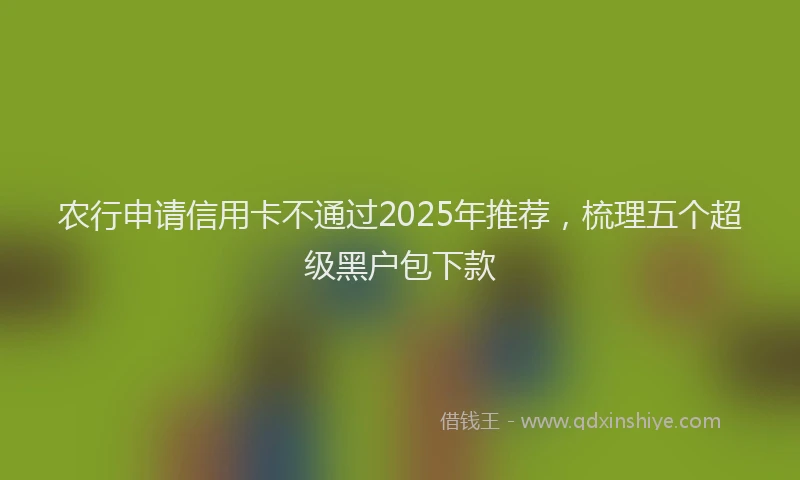 农行申请信用卡不通过2025年推荐，梳理五个超级黑户包下款