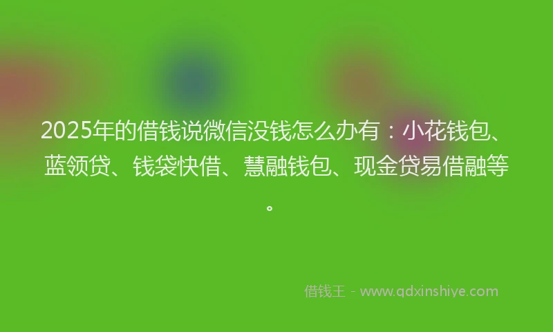 2025年的借钱说微信没钱怎么办有:小花钱包、蓝领贷、钱袋快借、慧融钱包、现金贷易借融等。