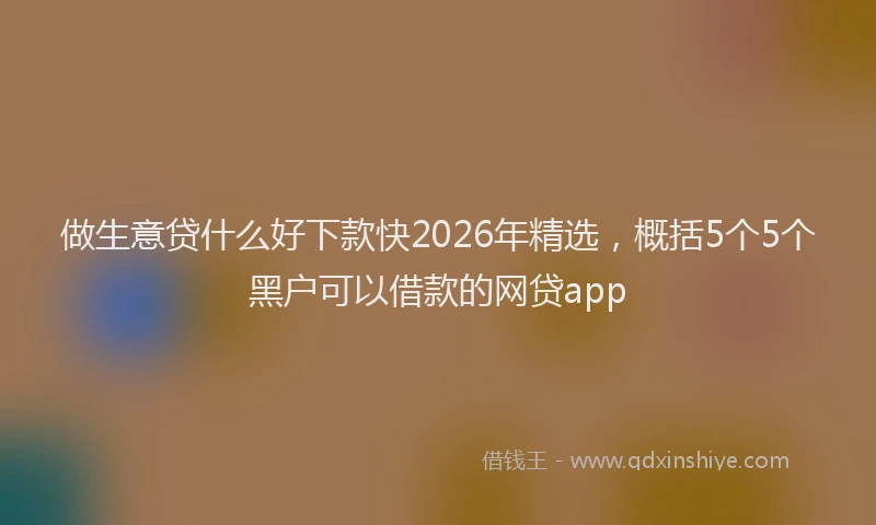 做生意贷什么好下款快2026年精选，概括5个5个黑户可以借款的网贷app