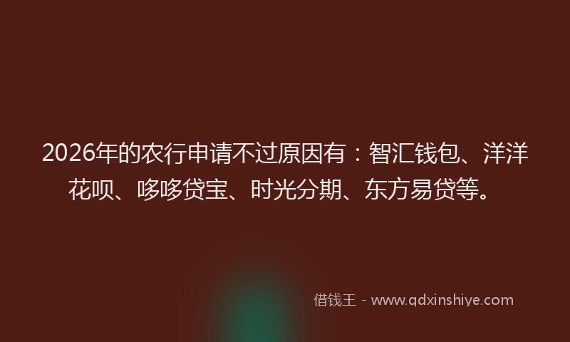 2026年的农行申请不过原因有：智汇钱包、洋洋花呗、哆哆贷宝、时光分期、东方易贷等。