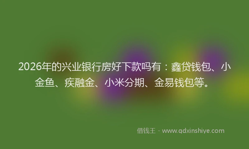 2026年的兴业银行房好下款吗有:鑫贷钱包、小金鱼、疾融金、小米分期、金易钱包等。