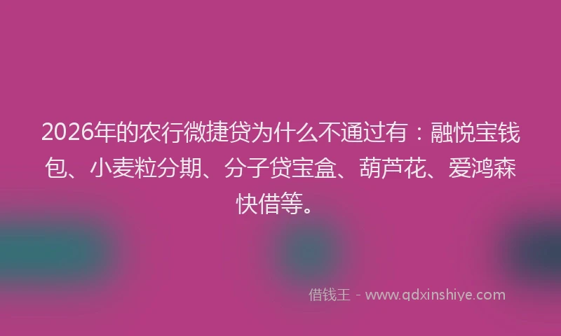 2026年的农行微捷贷为什么不通过有：融悦宝钱包、小麦粒分期、分子贷宝盒、葫芦花、爱鸿森快借等。