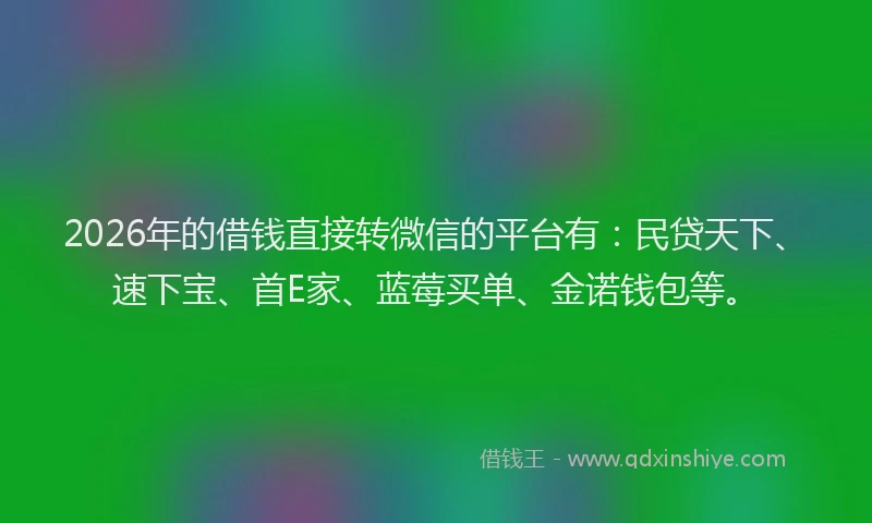 2026年的借钱直接转微信的平台有：民贷天下、速下宝、首E家、蓝莓买单、金诺钱包等。