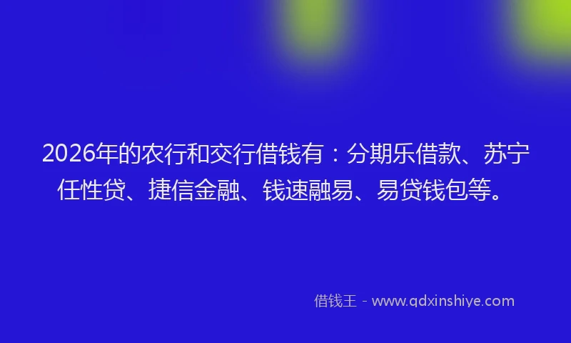 2026年的农行和交行借钱有：分期乐借款、苏宁任性贷、捷信金融、钱速融易、易贷钱包等。