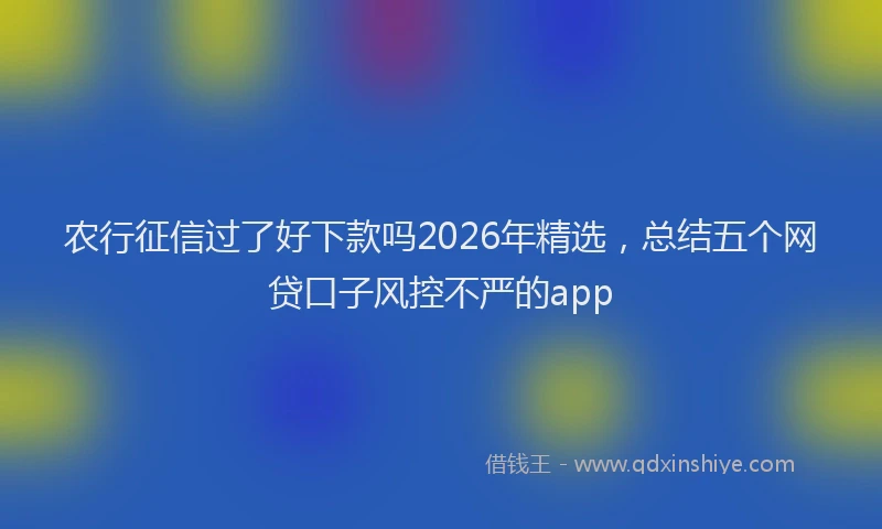 农行征信过了好下款吗2026年精选，总结五个网贷口子风控不严的app