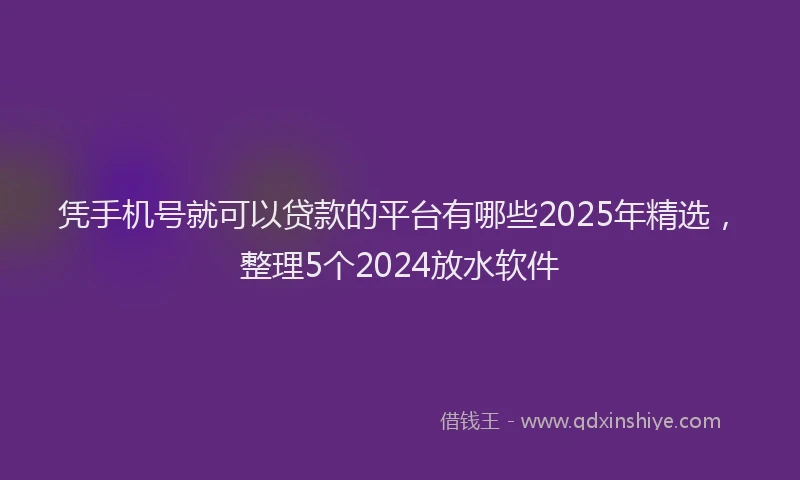 凭手机号就可以贷款的平台有哪些2025年精选，整理5个2024放水软件