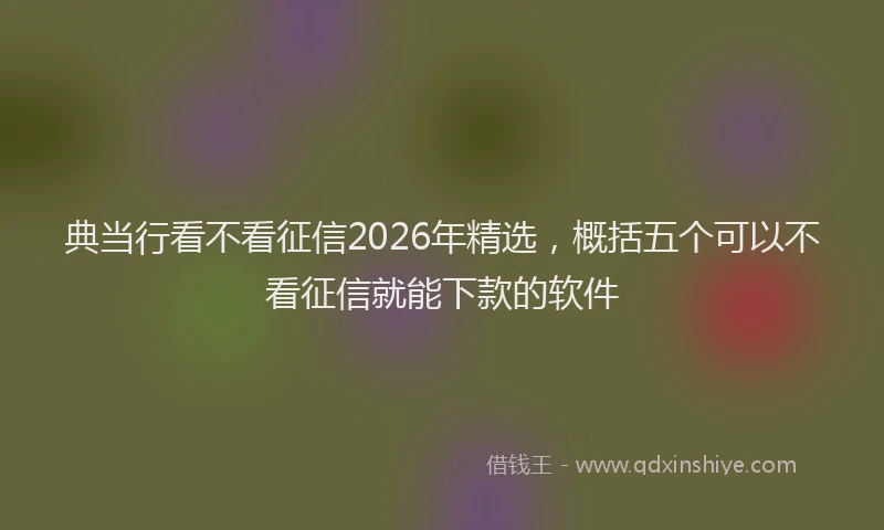 典当行看不看征信2026年精选，概括五个可以不看征信就能下款的软件