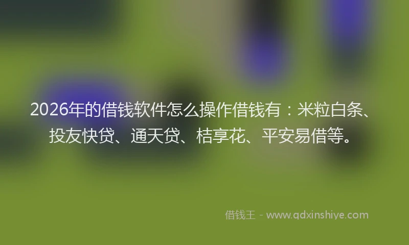 2026年的借钱软件怎么操作借钱有：米粒白条、投友快贷、通天贷、桔享花、平安易借等。