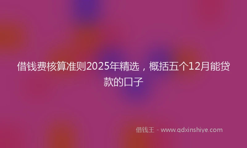 借钱费核算准则2025年精选，概括五个12月能贷款的口子