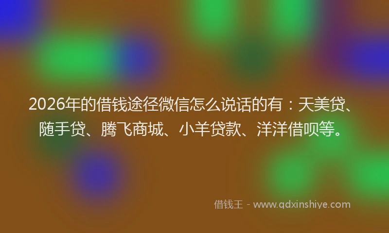 2026年的借钱途径微信怎么说话的有：天美贷、随手贷、腾飞商城、小羊贷款、洋洋借呗等。