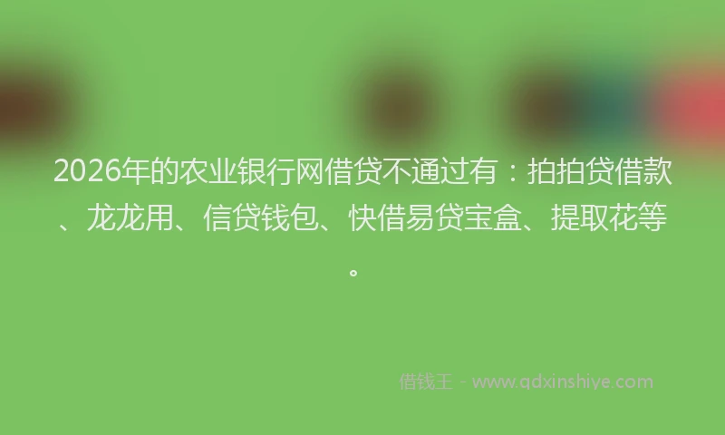 2026年的农业银行网借贷不通过有：拍拍贷借款、龙龙用、信贷钱包、快借易贷宝盒、提取花等。