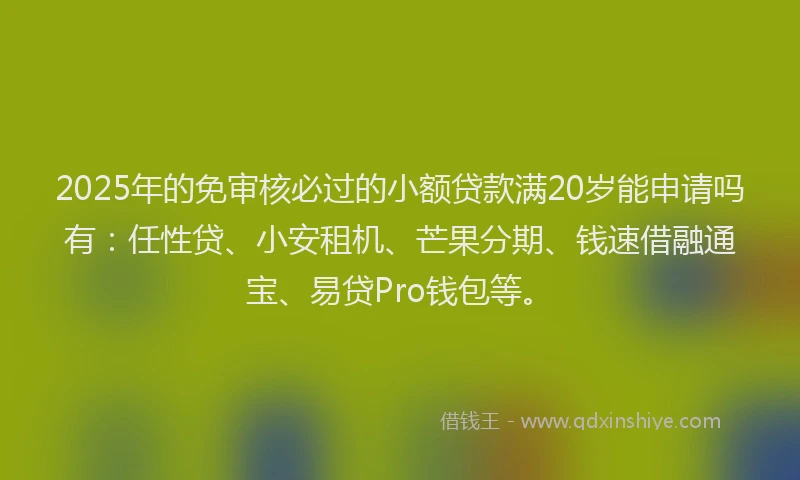 2025年的免审核必过的小额贷款满20岁能申请吗有:任性贷、小安租机、芒果分期、钱速借融通宝、易贷Pro钱包等。