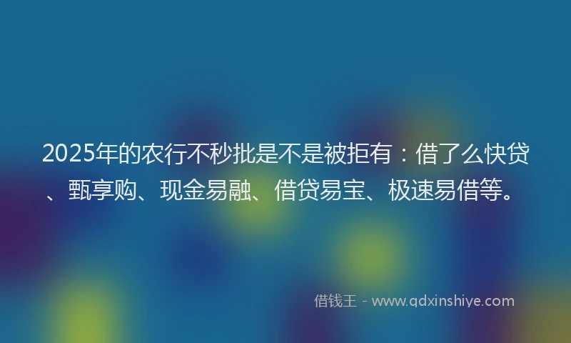 2025年的农行不秒批是不是被拒有：借了么快贷、甄享购、现金易融、借贷易宝、极速易借等。