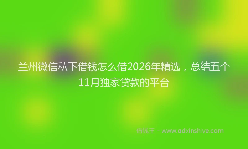 兰州微信私下借钱怎么借2026年精选，总结五个11月独家贷款的平台