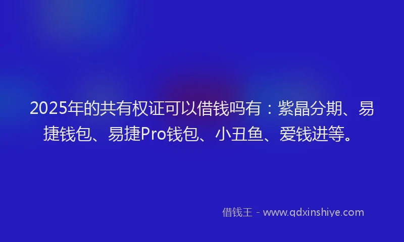 2025年的共有权证可以借钱吗有：紫晶分期、易捷钱包、易捷Pro钱包、小丑鱼、爱钱进等。
