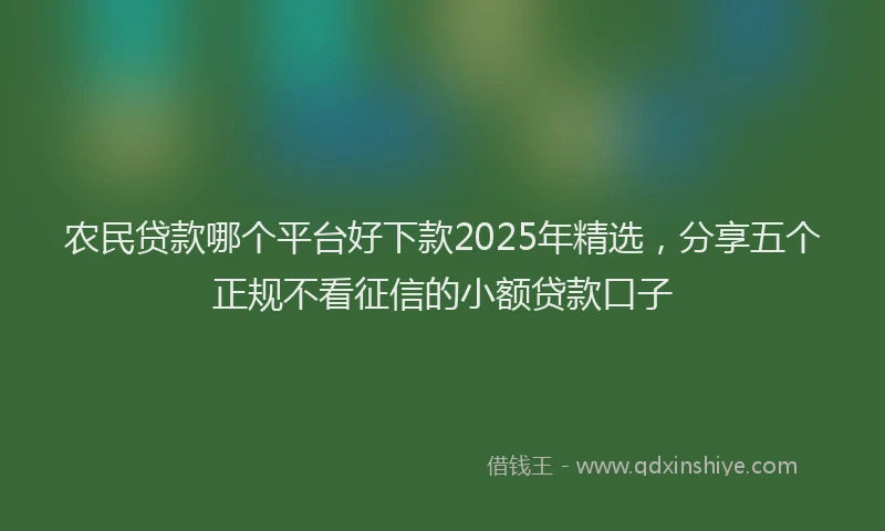 农民贷款哪个平台好下款2025年精选,分享五个正规不看征信的小额贷款口子