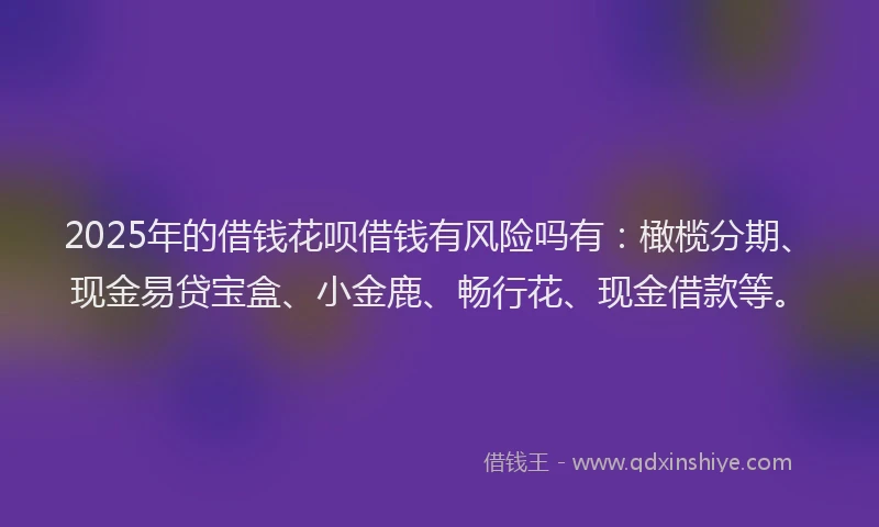 2025年的借钱花呗借钱有风险吗有：橄榄分期、现金易贷宝盒、小金鹿、畅行花、现金借款等。