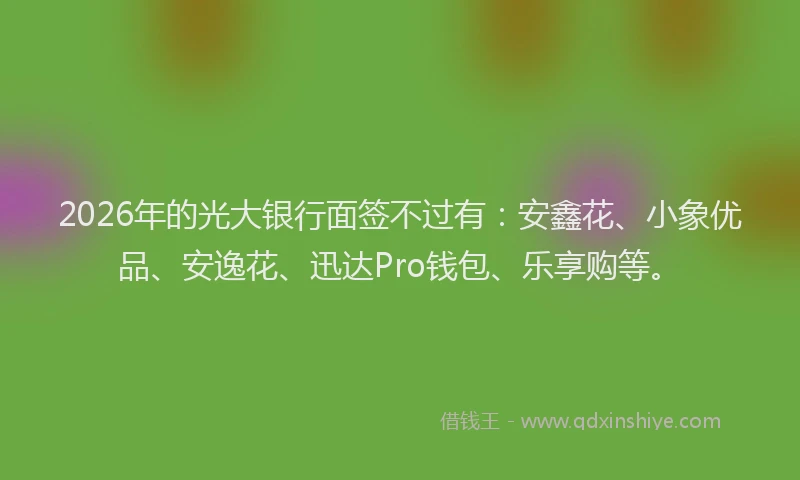 2026年的光大银行面签不过有：安鑫花、小象优品、安逸花、迅达Pro钱包、乐享购等。