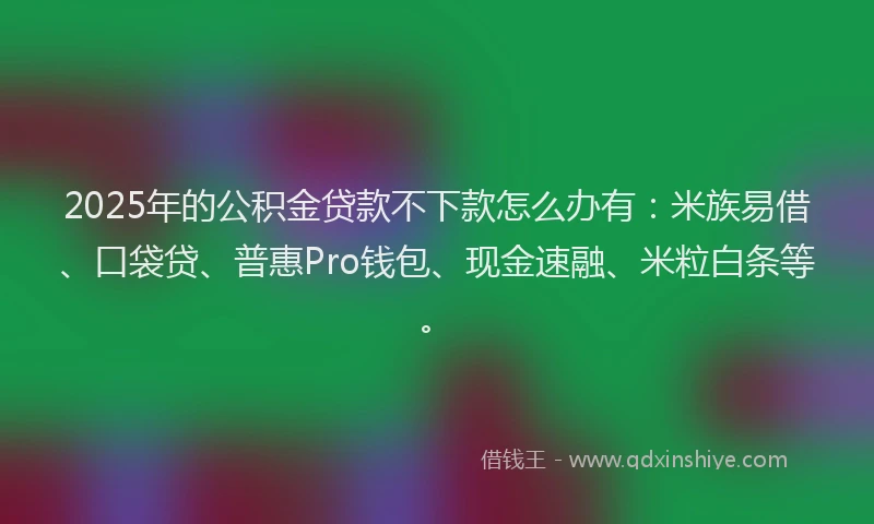 2025年的公积金贷款不下款怎么办有：米族易借、口袋贷、普惠Pro钱包、现金速融、米粒白条等。