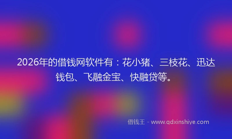 2026年的借钱网软件有：花小猪、三枝花、迅达钱包、飞融金宝、快融贷等。
