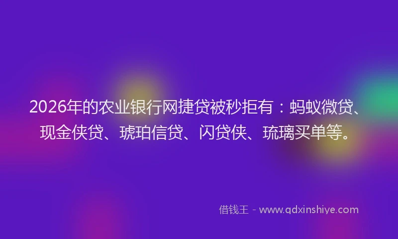 2026年的农业银行网捷贷被秒拒有：蚂蚁微贷、现金侠贷、琥珀信贷、闪贷侠、琉璃买单等。