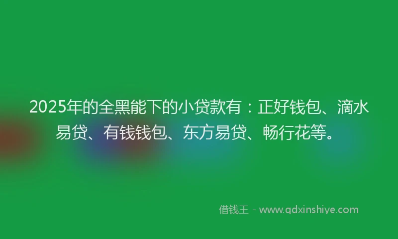 2025年的全黑能下的小贷款有：正好钱包、滴水易贷、有钱钱包、东方易贷、畅行花等。