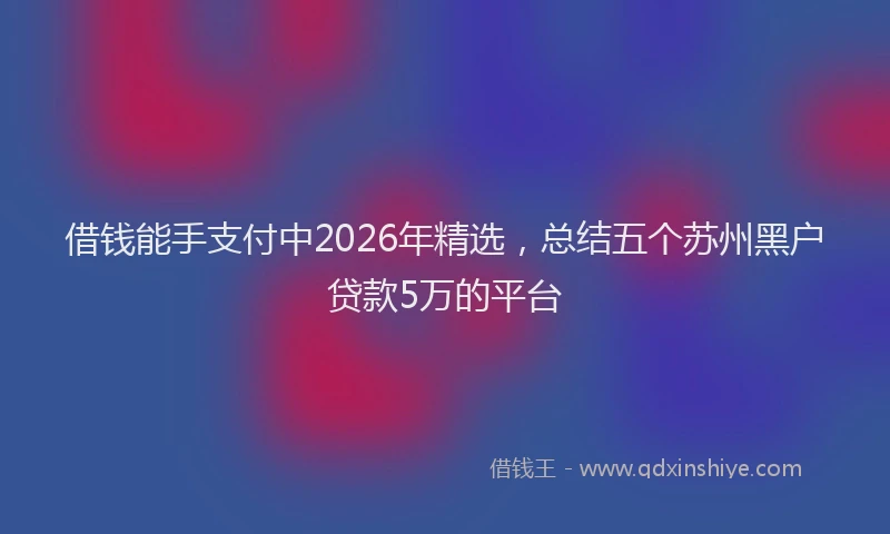 借钱能手支付中2026年精选，总结五个苏州黑户贷款5万的平台