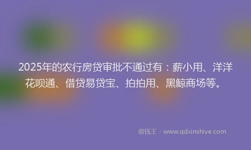 2025年的农行房贷审批不通过有：薪小用、洋洋花呗通、借贷易贷宝、拍拍用、黑鲸商场等。