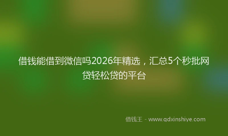 借钱能借到微信吗2026年精选，汇总5个秒批网贷轻松贷的平台