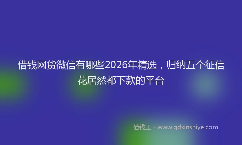 借钱网货微信有哪些2026年精选，归纳五个征信花居然都下款的平台