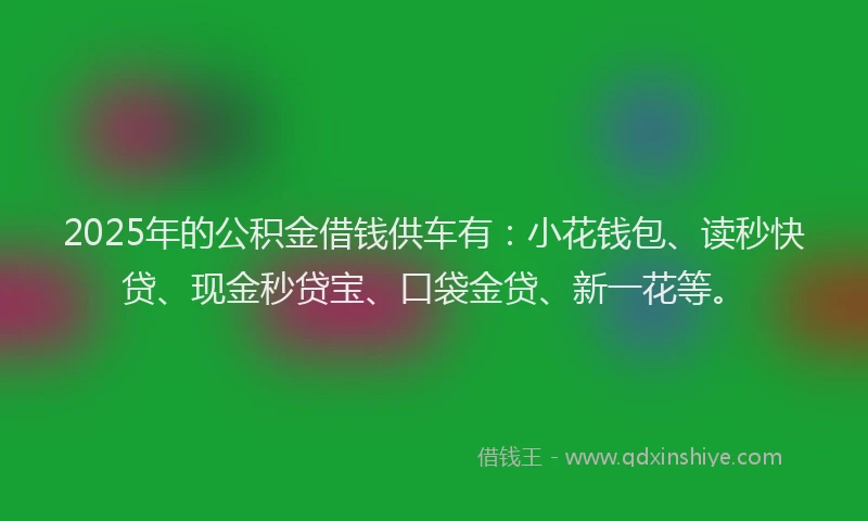 2025年的公积金借钱供车有：小花钱包、读秒快贷、现金秒贷宝、口袋金贷、新一花等。