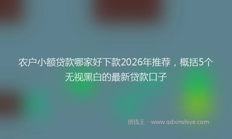 农户小额贷款哪家好下款2026年推荐，概括5个无视黑白的最新贷款口子
