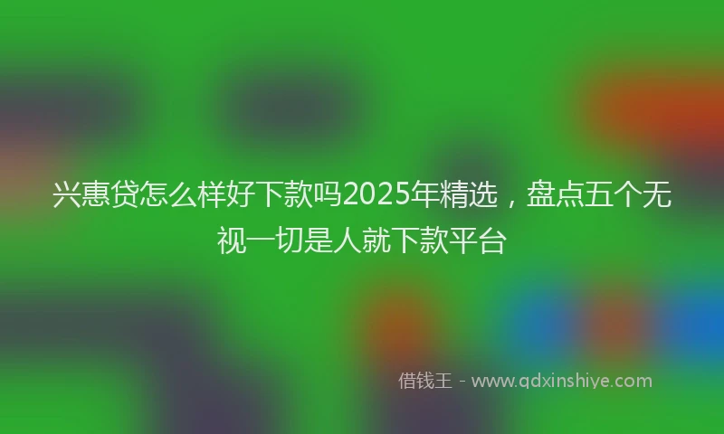 兴惠贷怎么样好下款吗2025年精选，盘点五个无视一切是人就下款平台